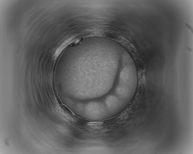 X0000103140051200809051624