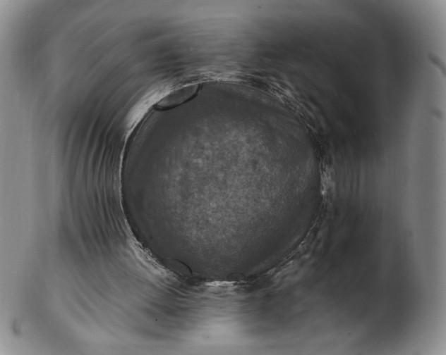 X0000103140052200809051624