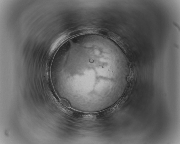 X0000103140053200809051624