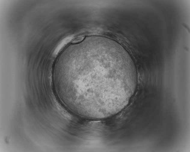 X0000103140054200809051624