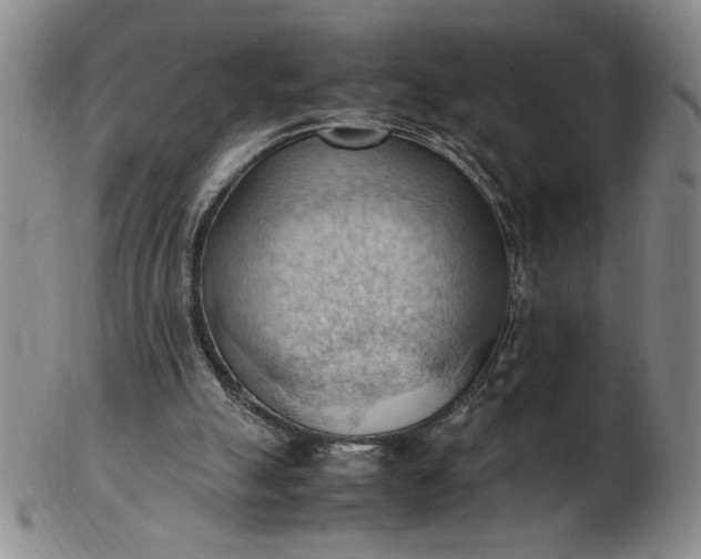 X0000103140055200809051624