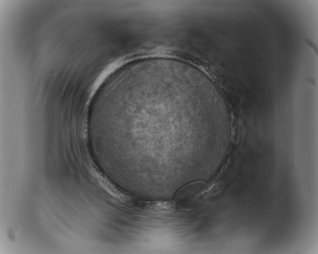 X0000103140056200809051624