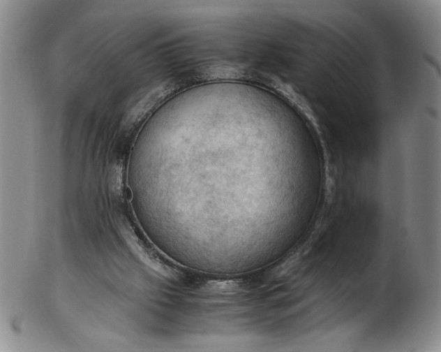 X0000103140057200809051624