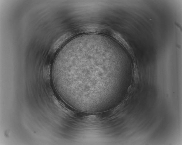 X0000103140058200809051624