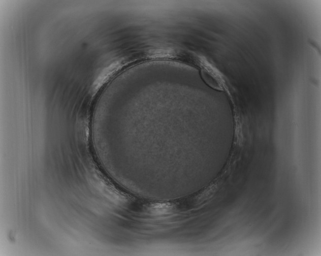 X0000103140059200809051624