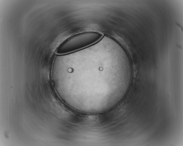 X0000103140060200809051624