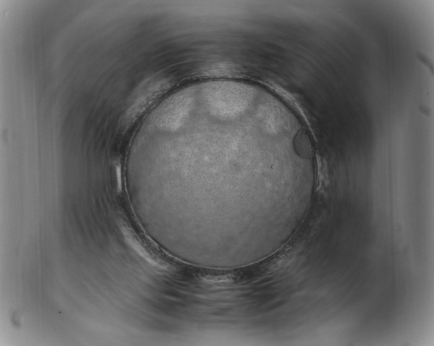 X0000103140061200809051624