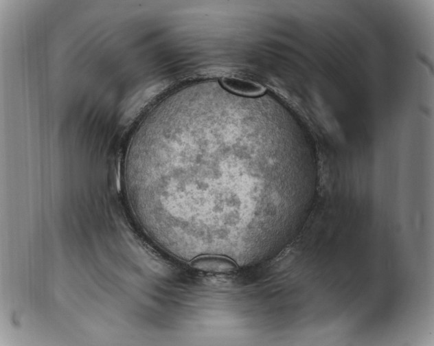 X0000103140062200809051624