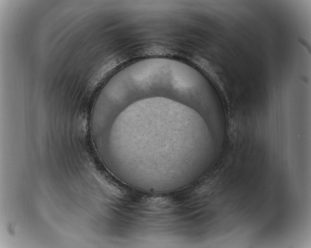 X0000103140063200809051624