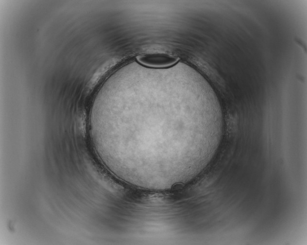 X0000103140064200809051624