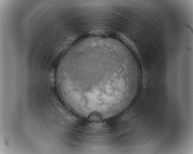 X0000103140065200809051624