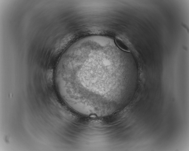 X0000103140066200809051624