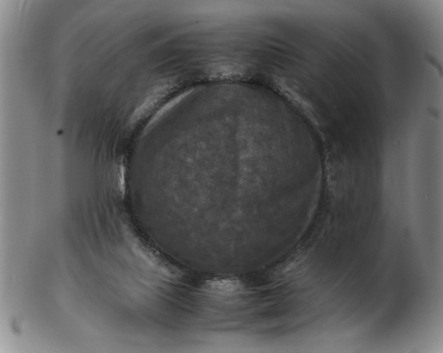 X0000103140067200809051624