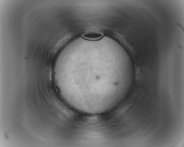 X0000103140068200809051624