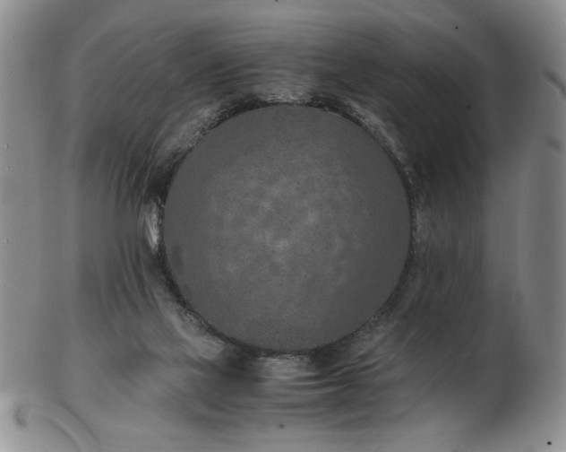 X0000103140069200809051624