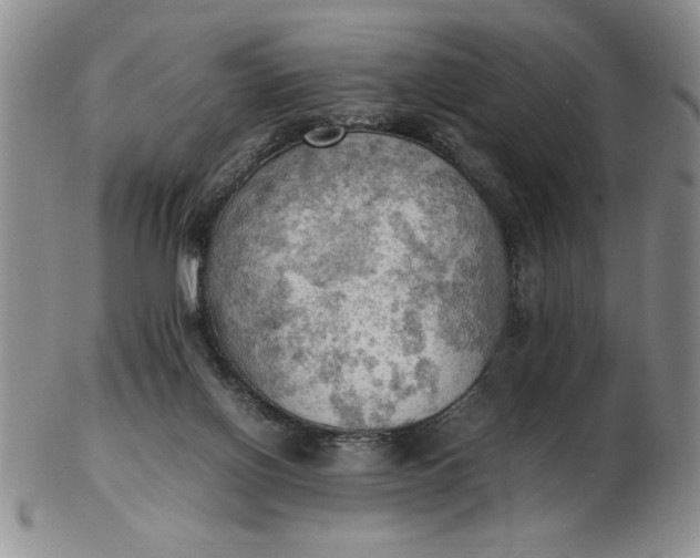 X0000103140070200809051624