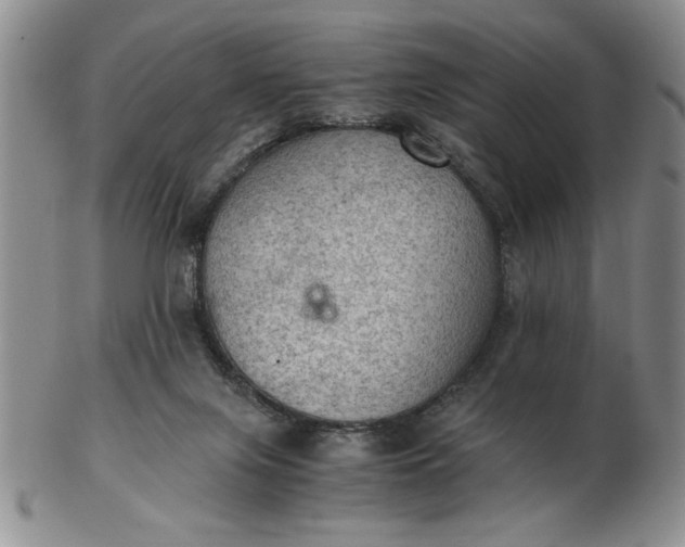 X0000103140071200809051624