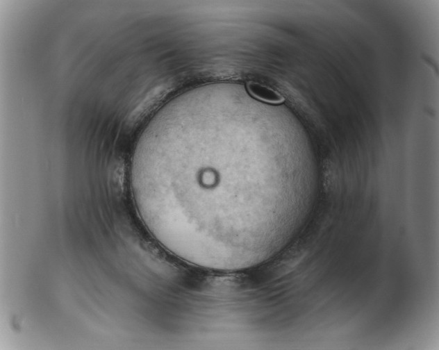 X0000103140072200809051624