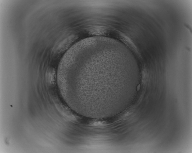 X0000103140073200809051624