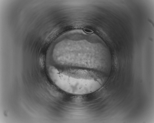 X0000103140074200809051624