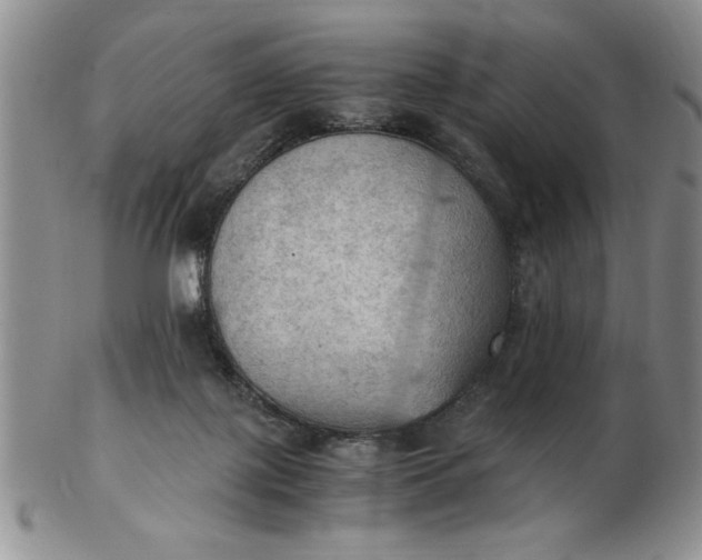 X0000103140075200809051624