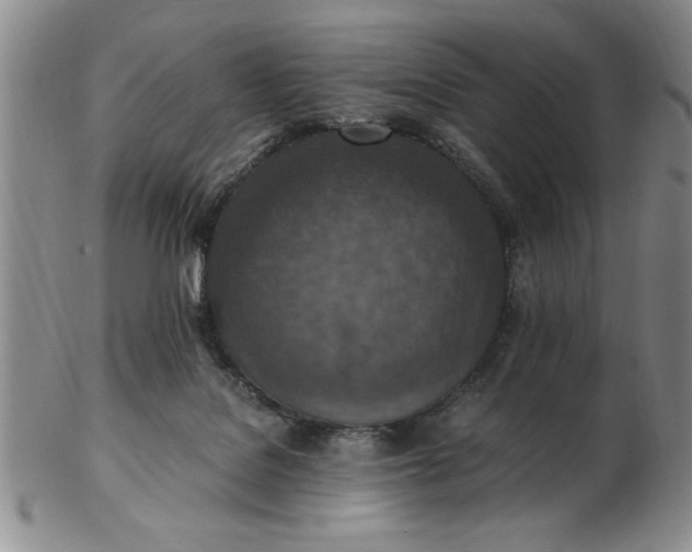 X0000103140076200809051624