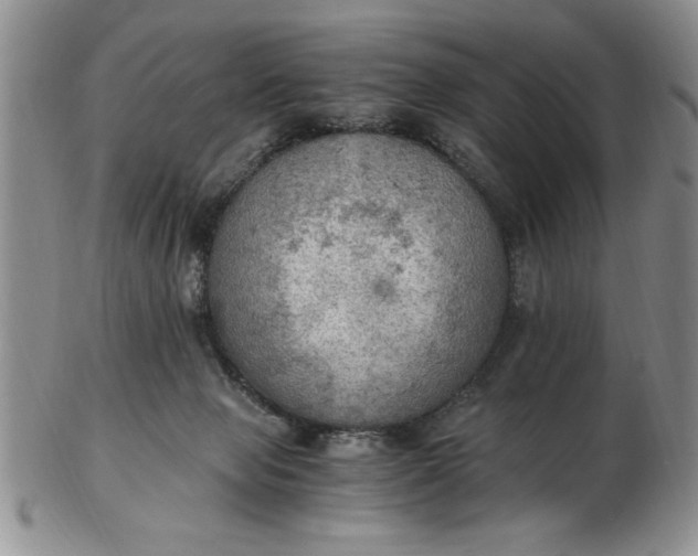 X0000103140077200809051624