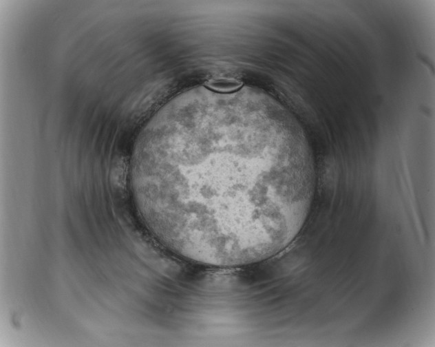 X0000103140078200809051624