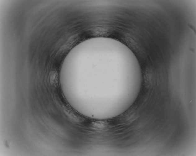 X0000103140079200809051624