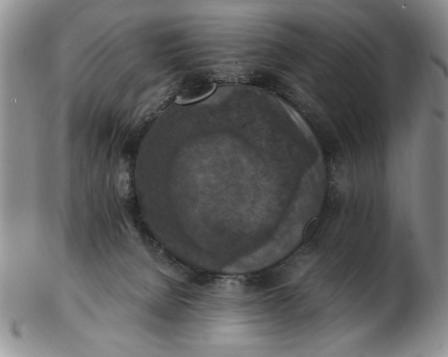 X0000103140080200809051624