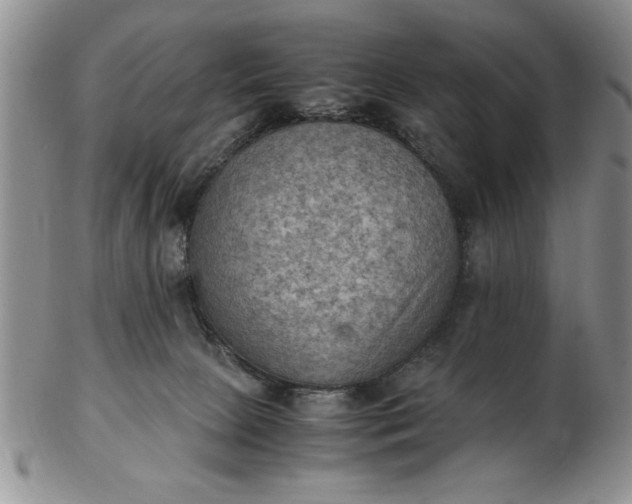 X0000103140081200809051624