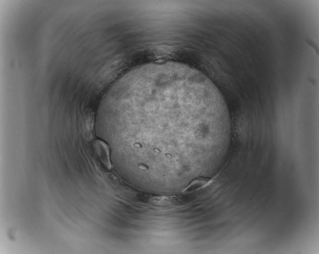 X0000103140082200809051624