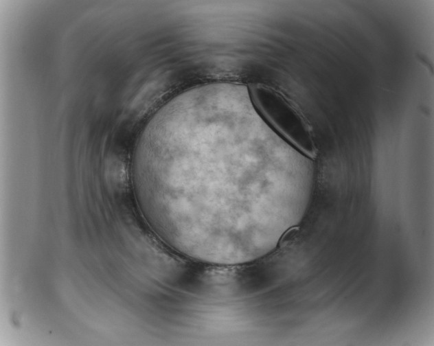 X0000103140084200809051624