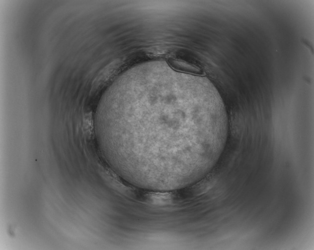 X0000103140085200809051624