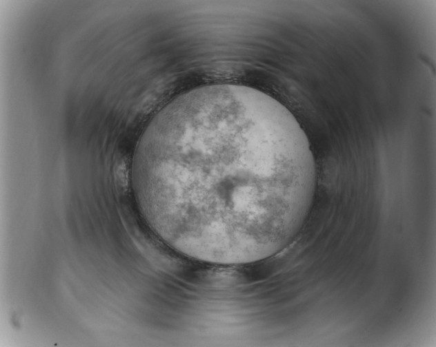 X0000103140086200809051624