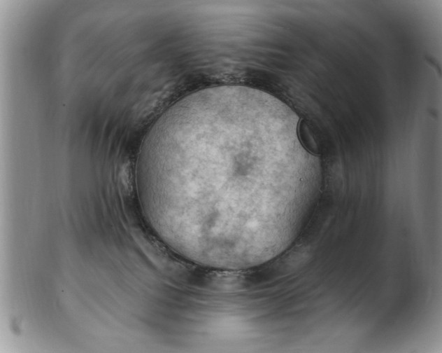 X0000103140088200809051624