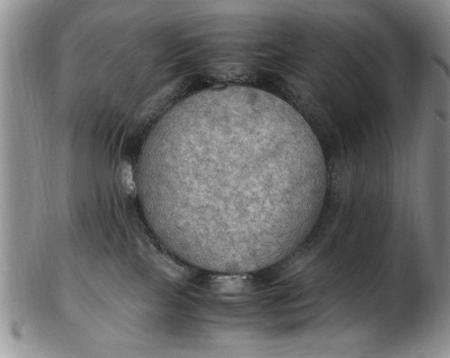 X0000103140089200809051624