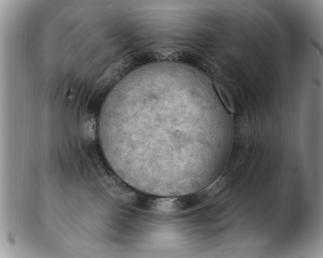 X0000103140090200809051624