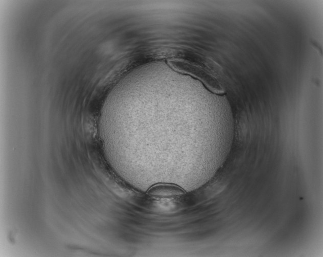 X0000103140091200809051624