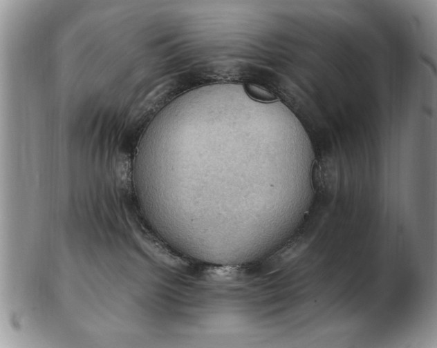 X0000103140092200809051624