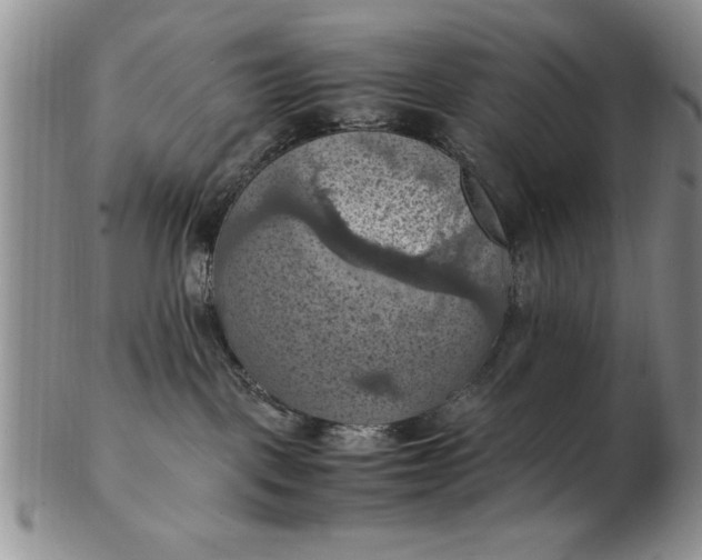 X0000103140093200809051624