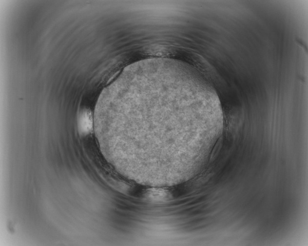 X0000103140095200809051624