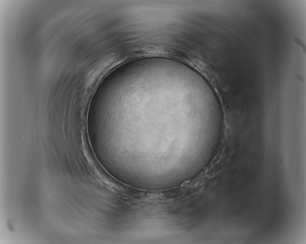 X0000103140097200809051623