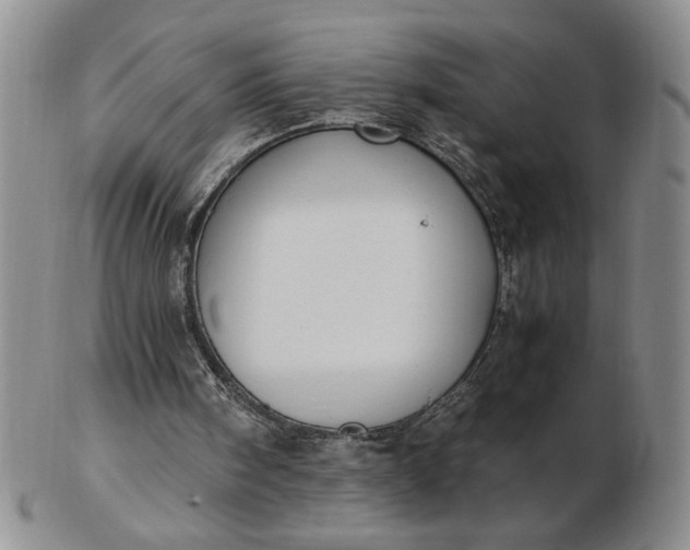 X0000103140098200809051623