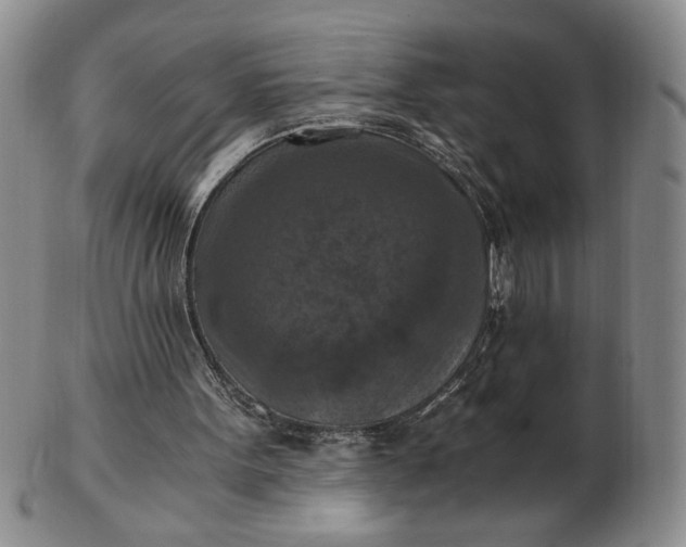 X0000103140099200809051623