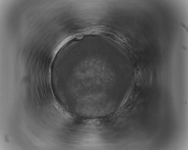 X0000103140100200809051623