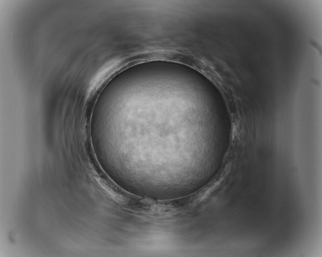 X0000103140101200809051623