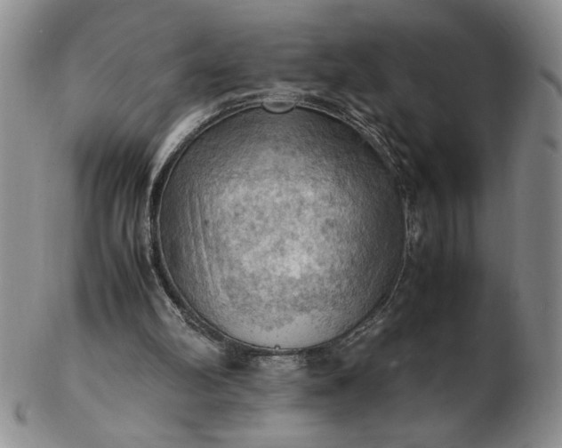 X0000103140102200809051623