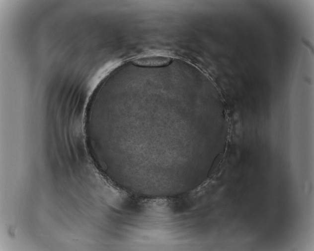 X0000103140104200809051623