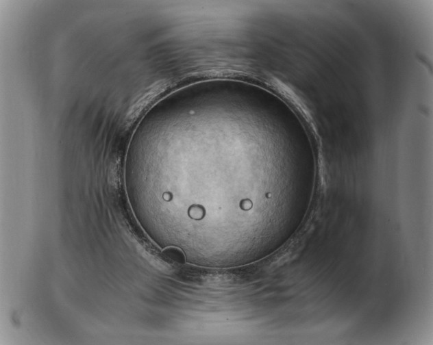 X0000103140105200809051623